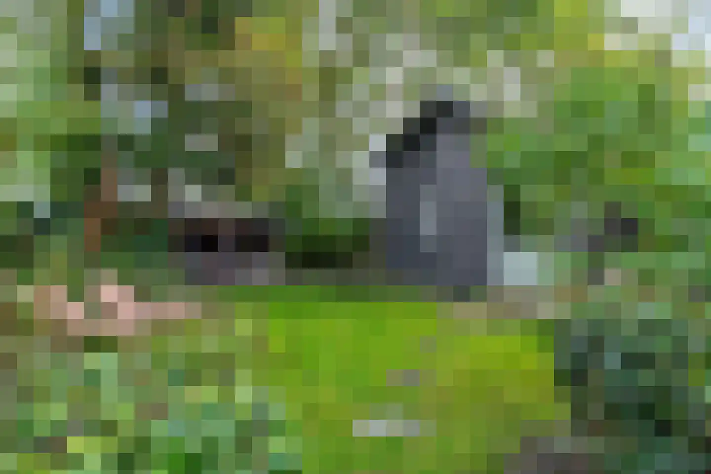 Hemmerweg 10 Barsingerhorn thumbnail 136