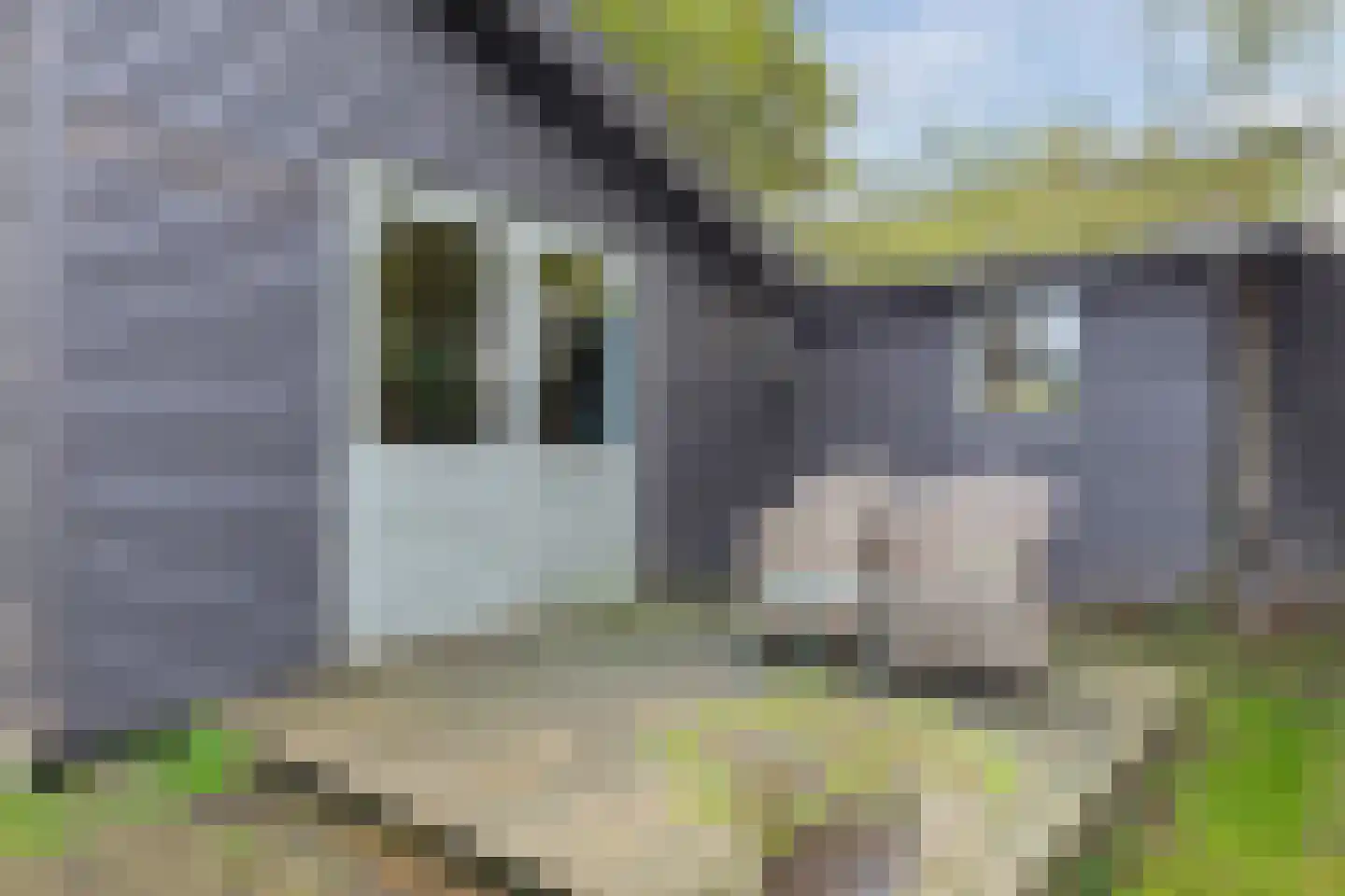 Hemmerweg 10 Barsingerhorn thumbnail 138