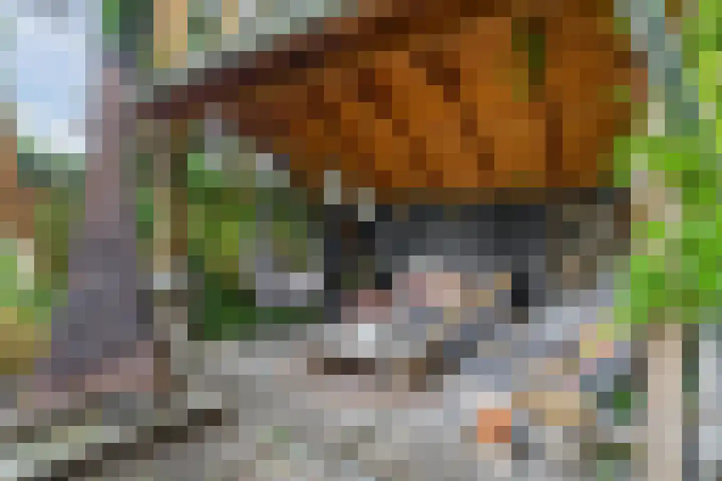 Hemmerweg 10 Barsingerhorn thumbnail 140