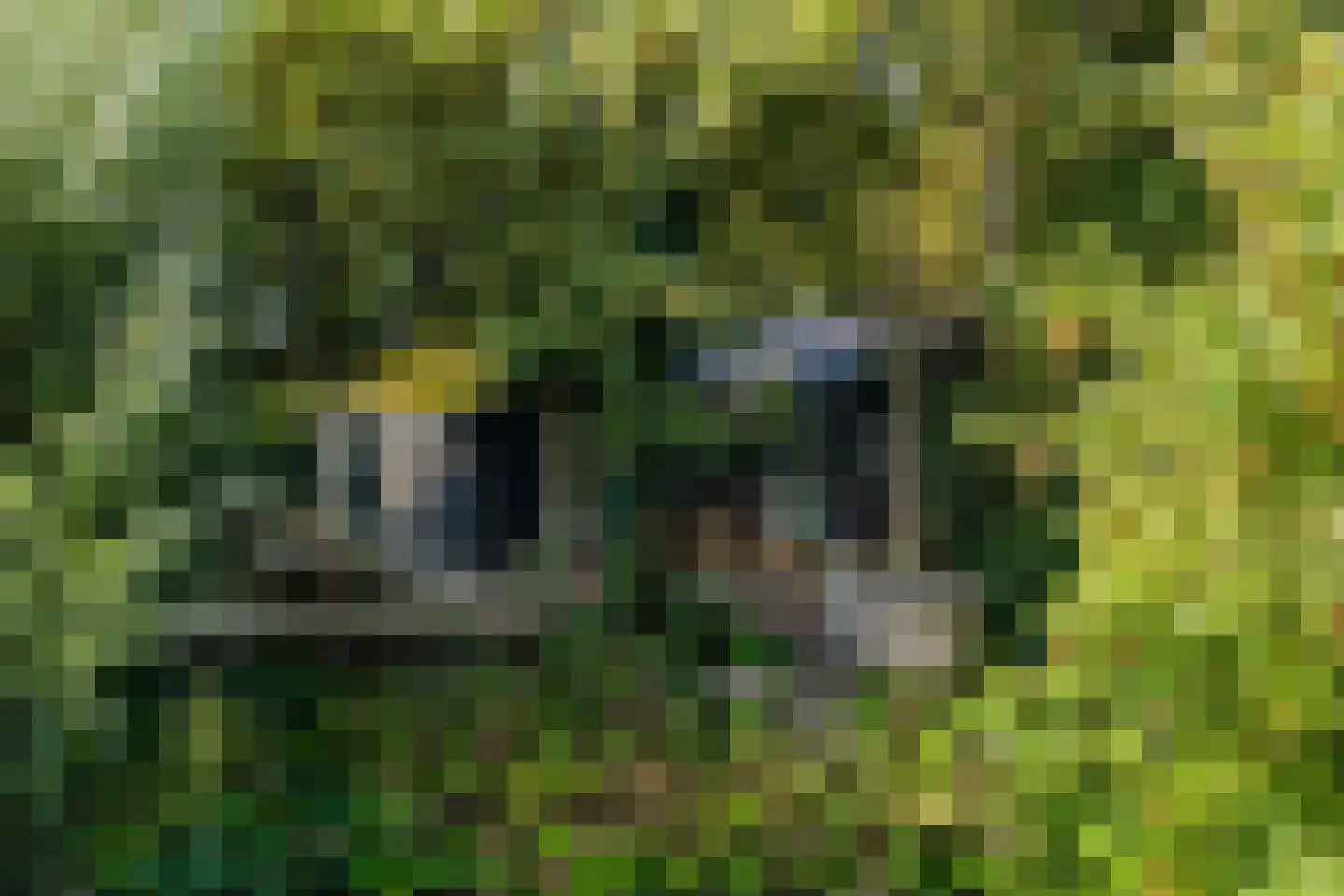 Hemmerweg 10 Barsingerhorn thumbnail 142