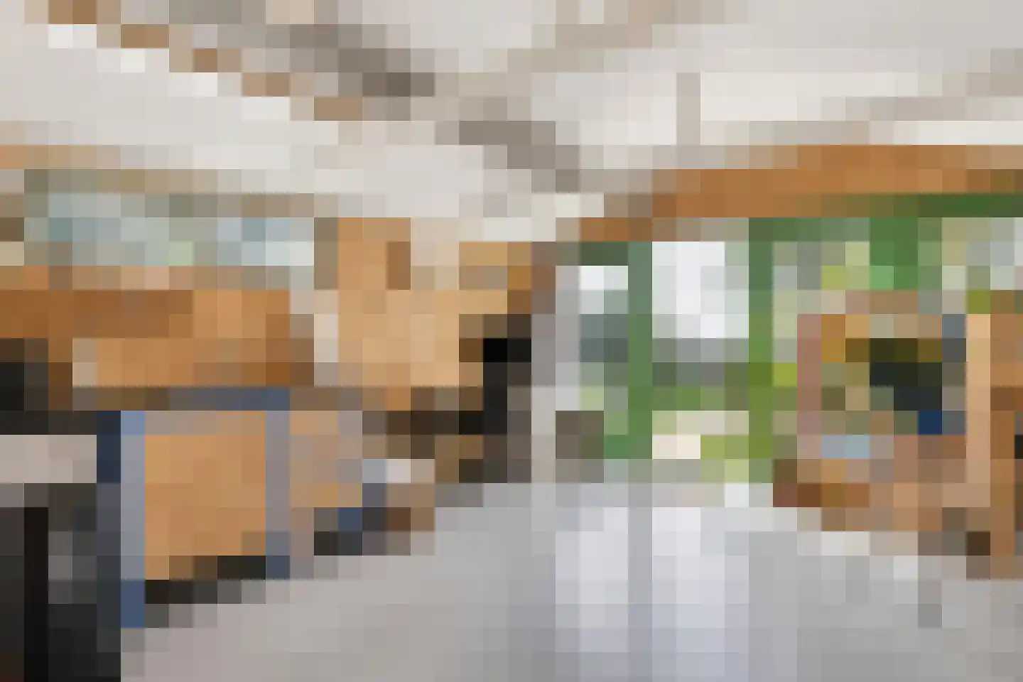 Hemmerweg 10 Barsingerhorn thumbnail 147