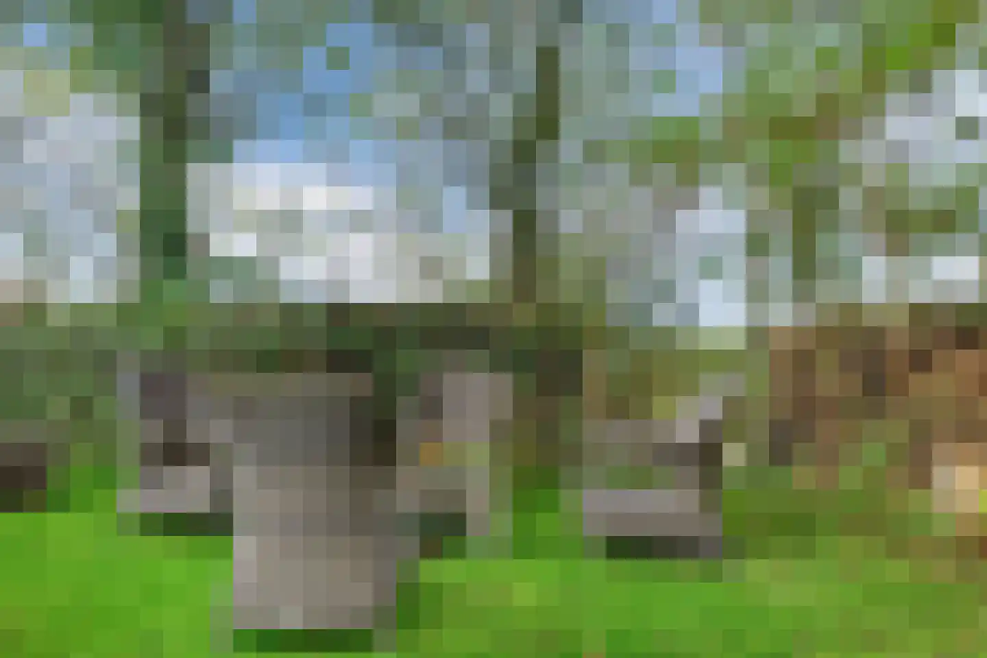 Hemmerweg 10 Barsingerhorn thumbnail 157