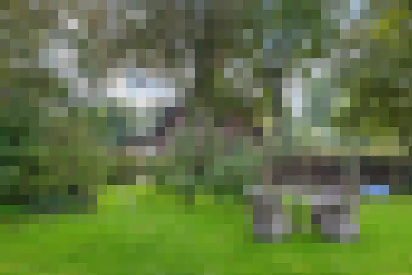 Hemmerweg 10 Barsingerhorn thumbnail 158