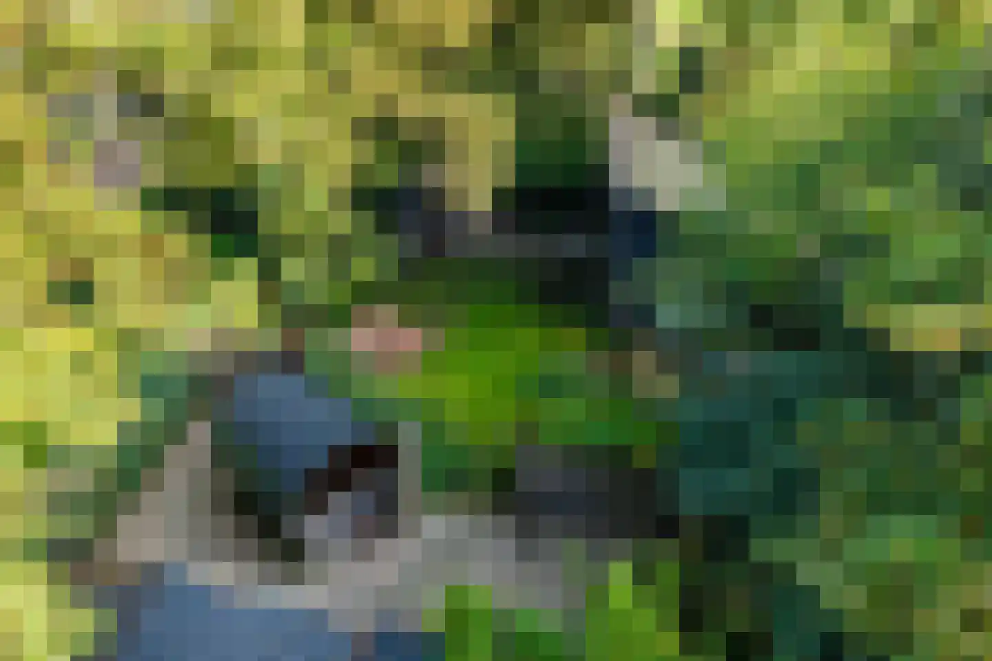 Hemmerweg 10 Barsingerhorn thumbnail 161