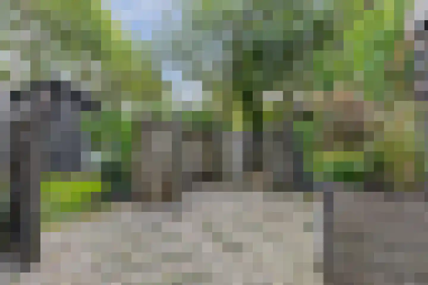 Hemmerweg 10 Barsingerhorn thumbnail 163