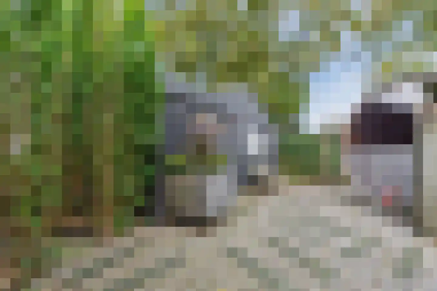 Hemmerweg 10 Barsingerhorn thumbnail 165