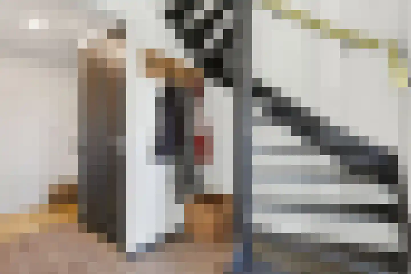 Hemmerweg 10 Barsingerhorn thumbnail 17
