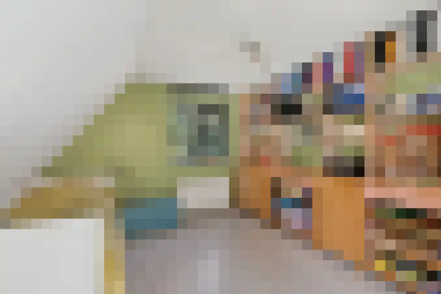 Hemmerweg 10 Barsingerhorn thumbnail 22