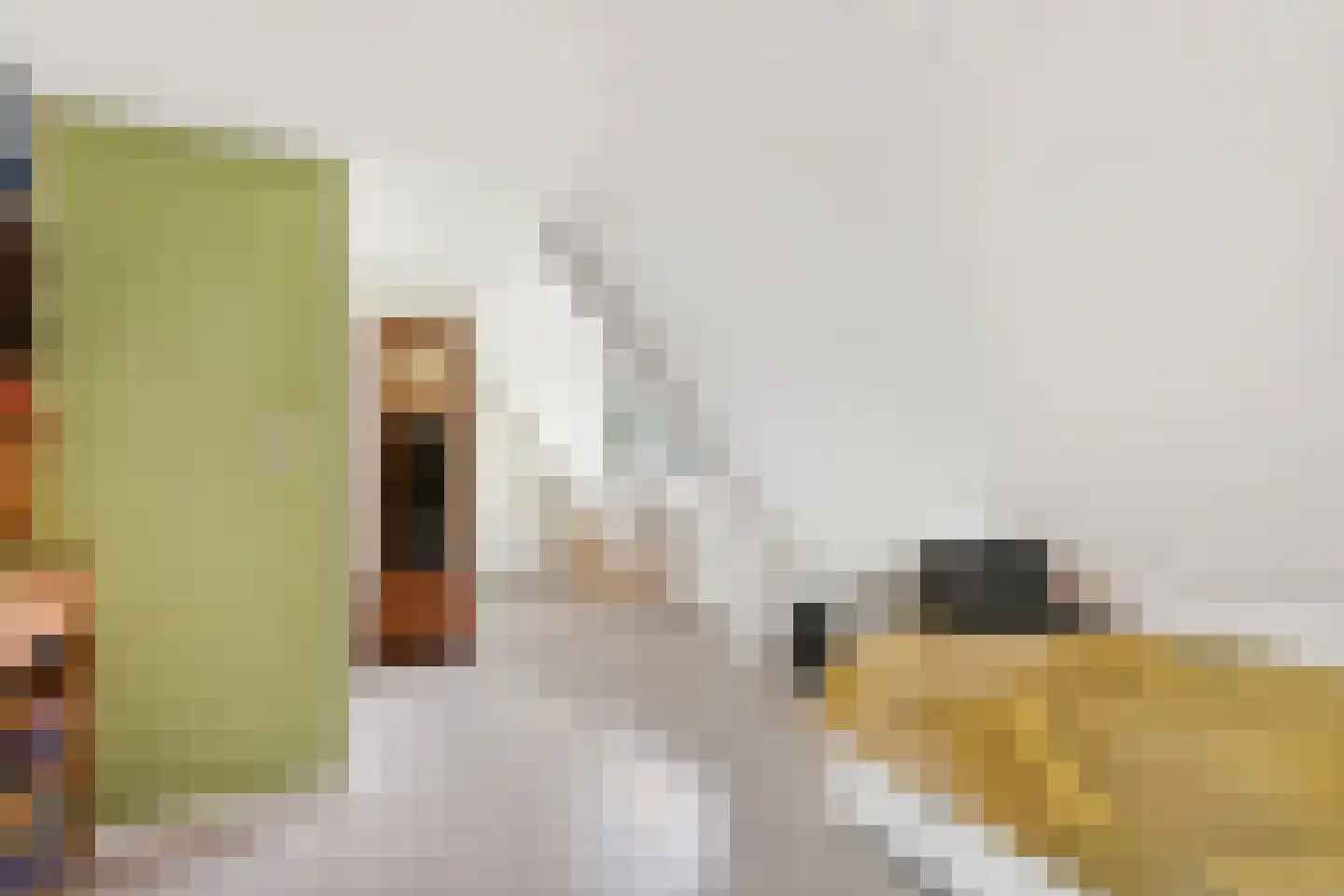 Hemmerweg 10 Barsingerhorn thumbnail 23