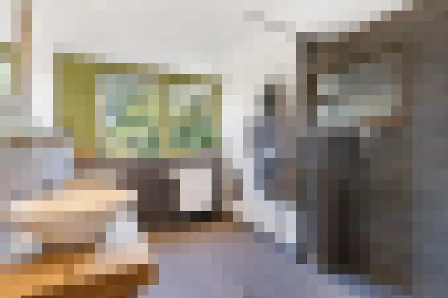 Hemmerweg 10 Barsingerhorn thumbnail 24