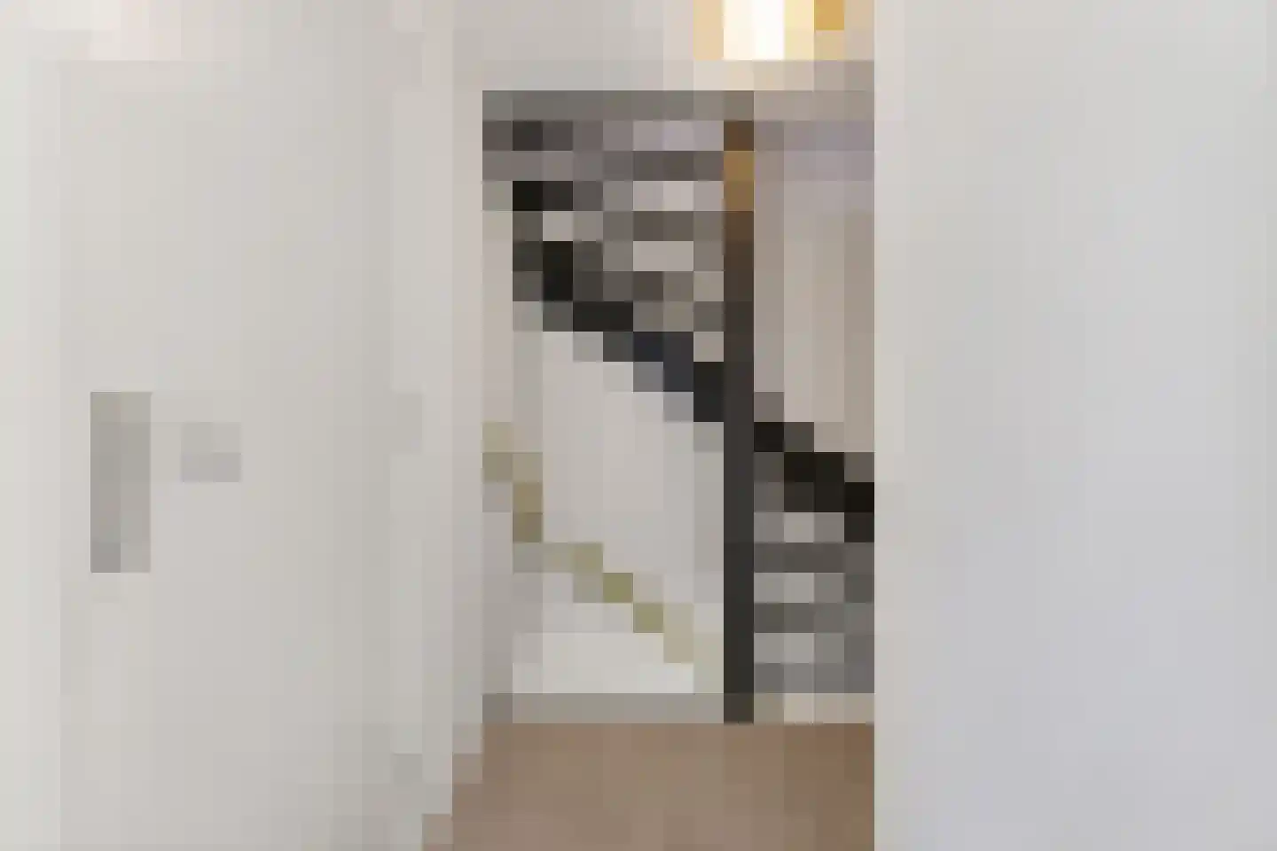 Hemmerweg 10 Barsingerhorn thumbnail 27
