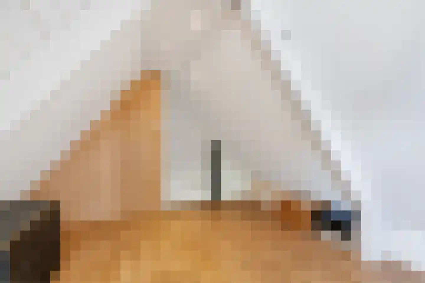 Hemmerweg 10 Barsingerhorn thumbnail 29