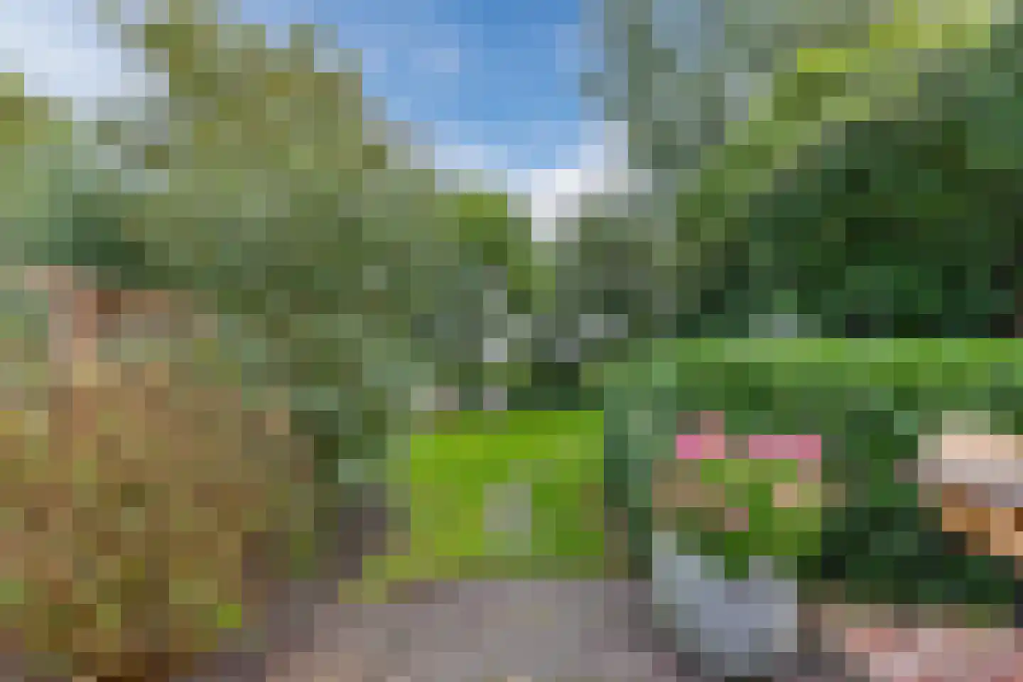 Hemmerweg 10 Barsingerhorn thumbnail 32