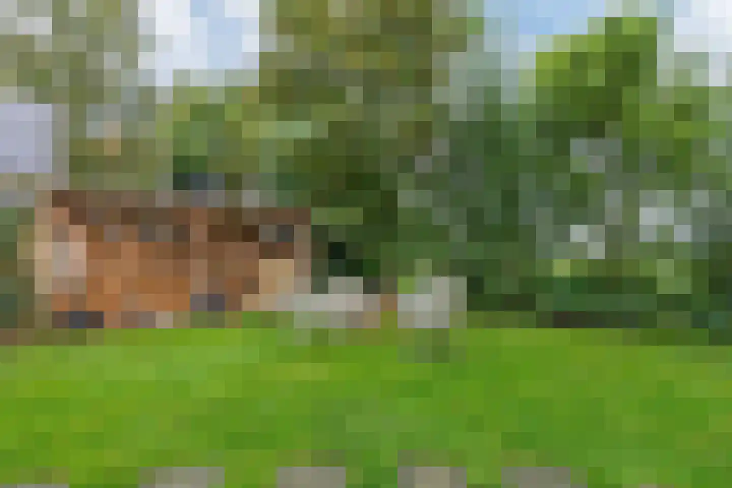Hemmerweg 10 Barsingerhorn thumbnail 33