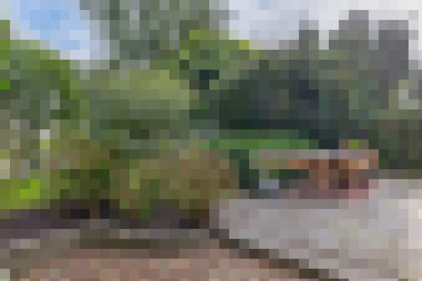 Hemmerweg 10 Barsingerhorn thumbnail 34