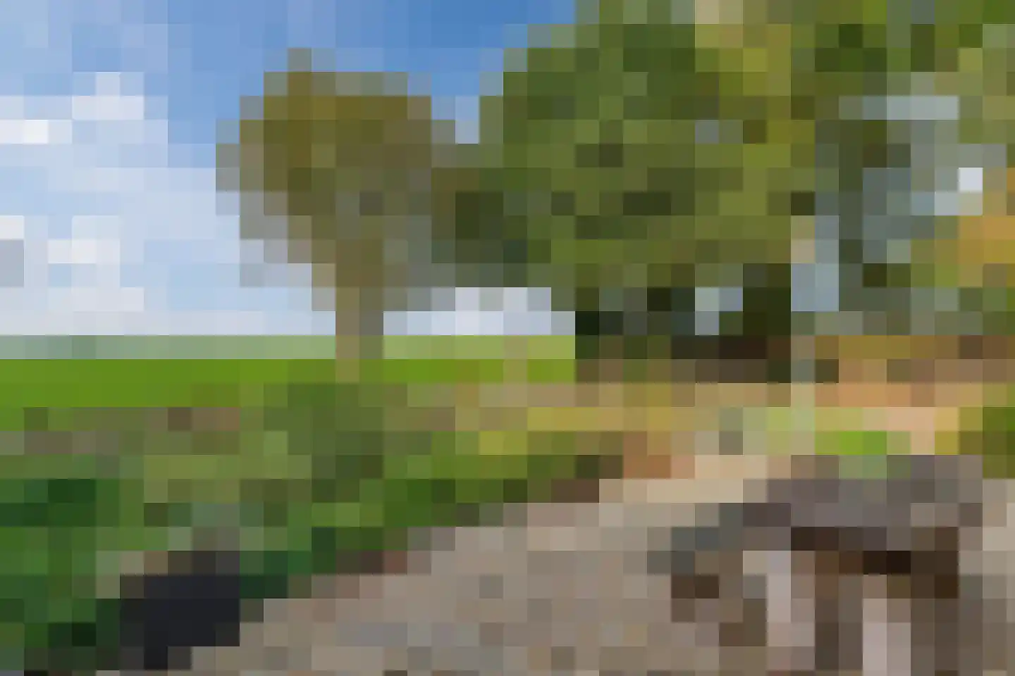 Hemmerweg 10 Barsingerhorn thumbnail 35