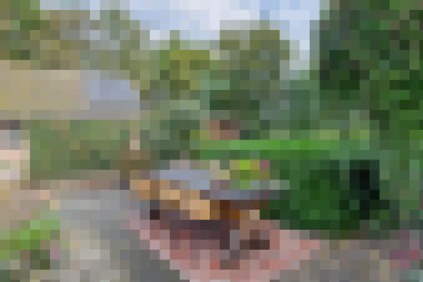 Hemmerweg 10 Barsingerhorn thumbnail 36