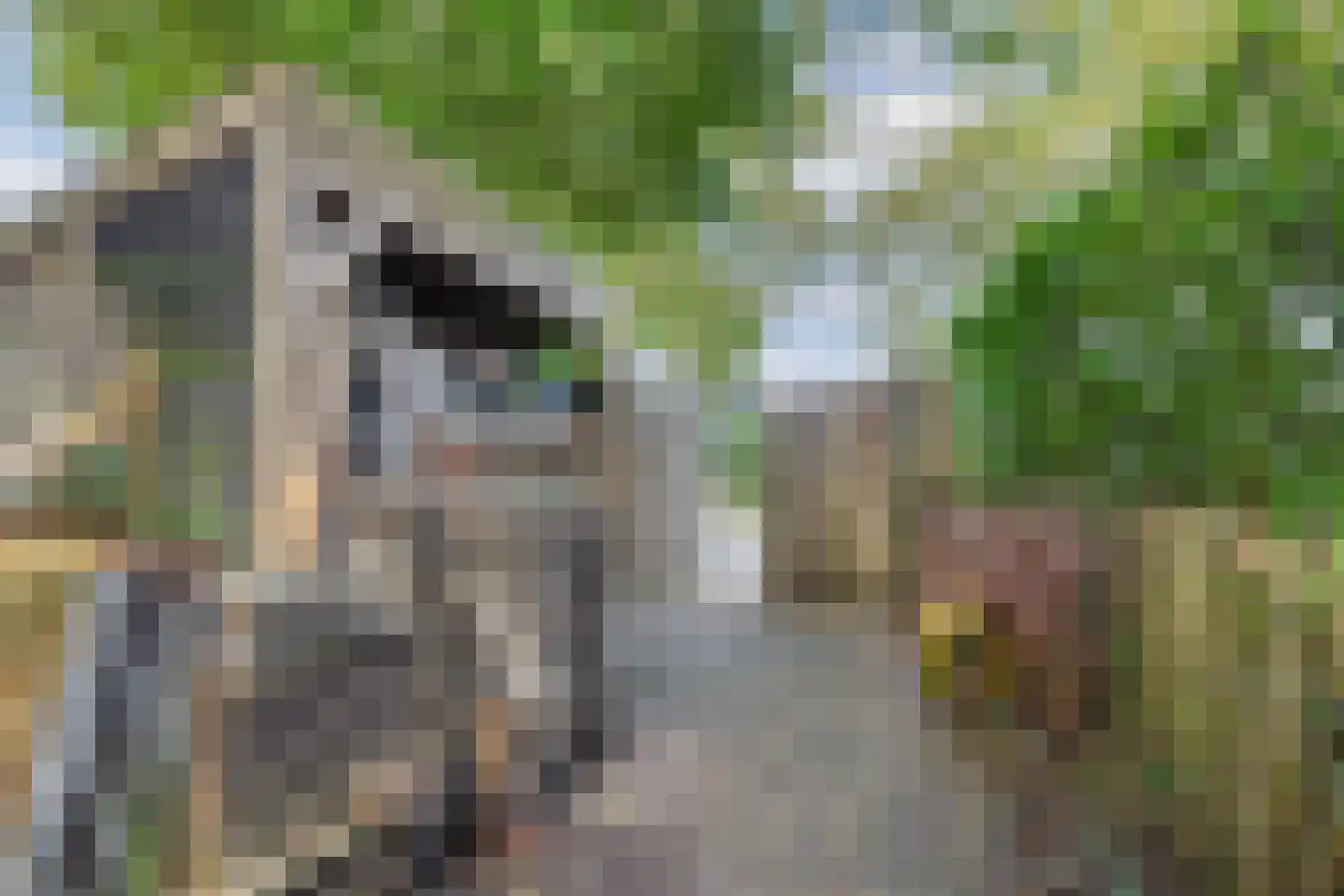 Hemmerweg 10 Barsingerhorn thumbnail 37