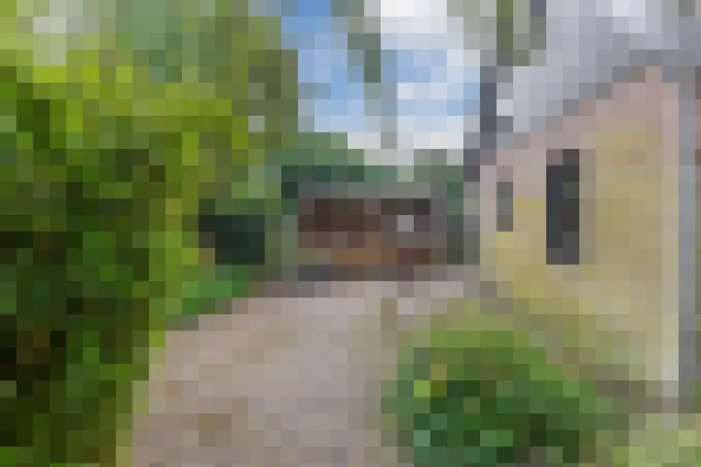 Hemmerweg 10 Barsingerhorn thumbnail 40