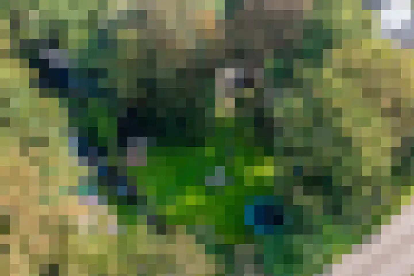 Hemmerweg 10 Barsingerhorn thumbnail 48