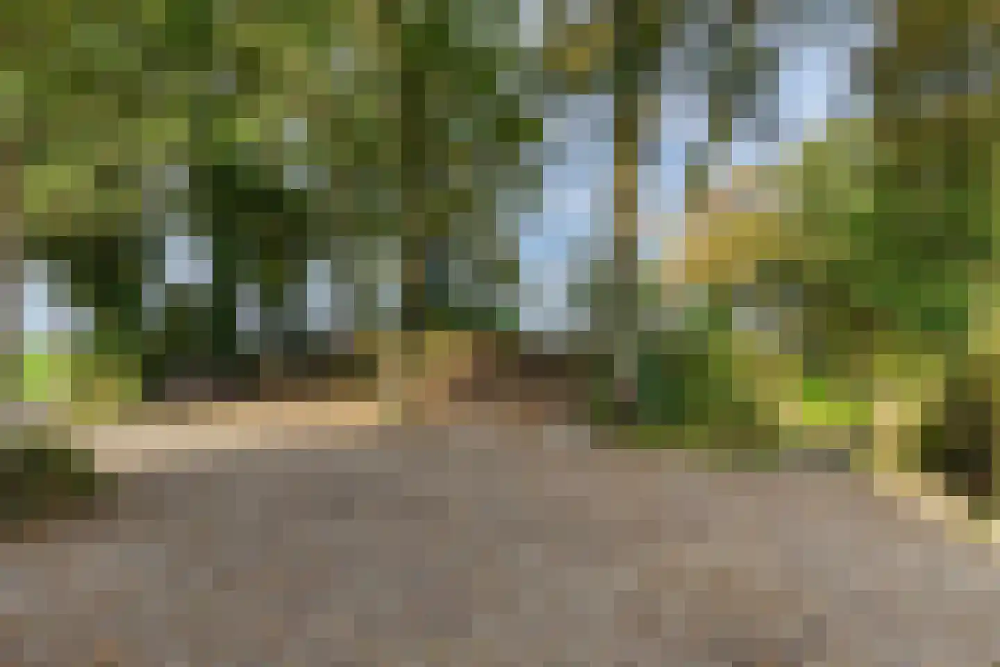 Hemmerweg 10 Barsingerhorn thumbnail 53