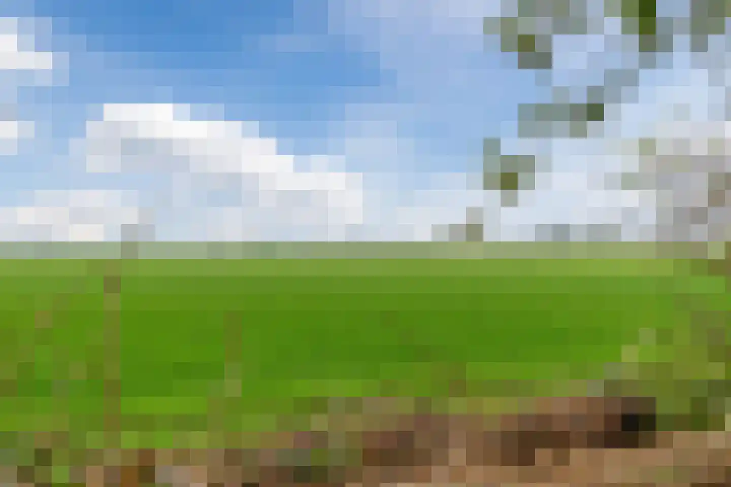 Hemmerweg 10 Barsingerhorn thumbnail 55