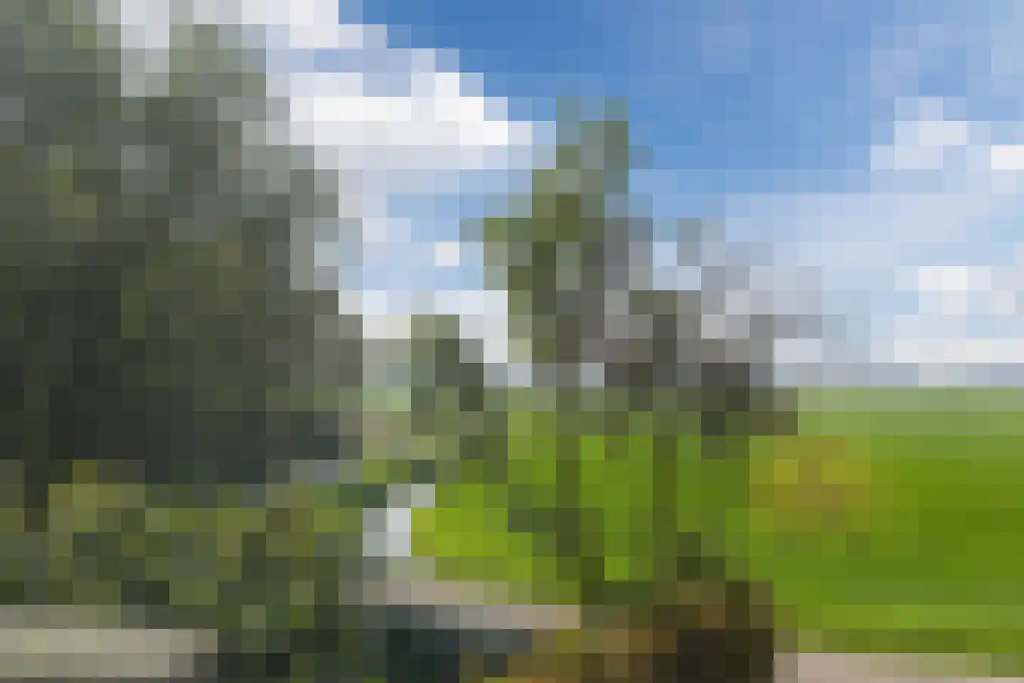 Hemmerweg 10 Barsingerhorn thumbnail 56