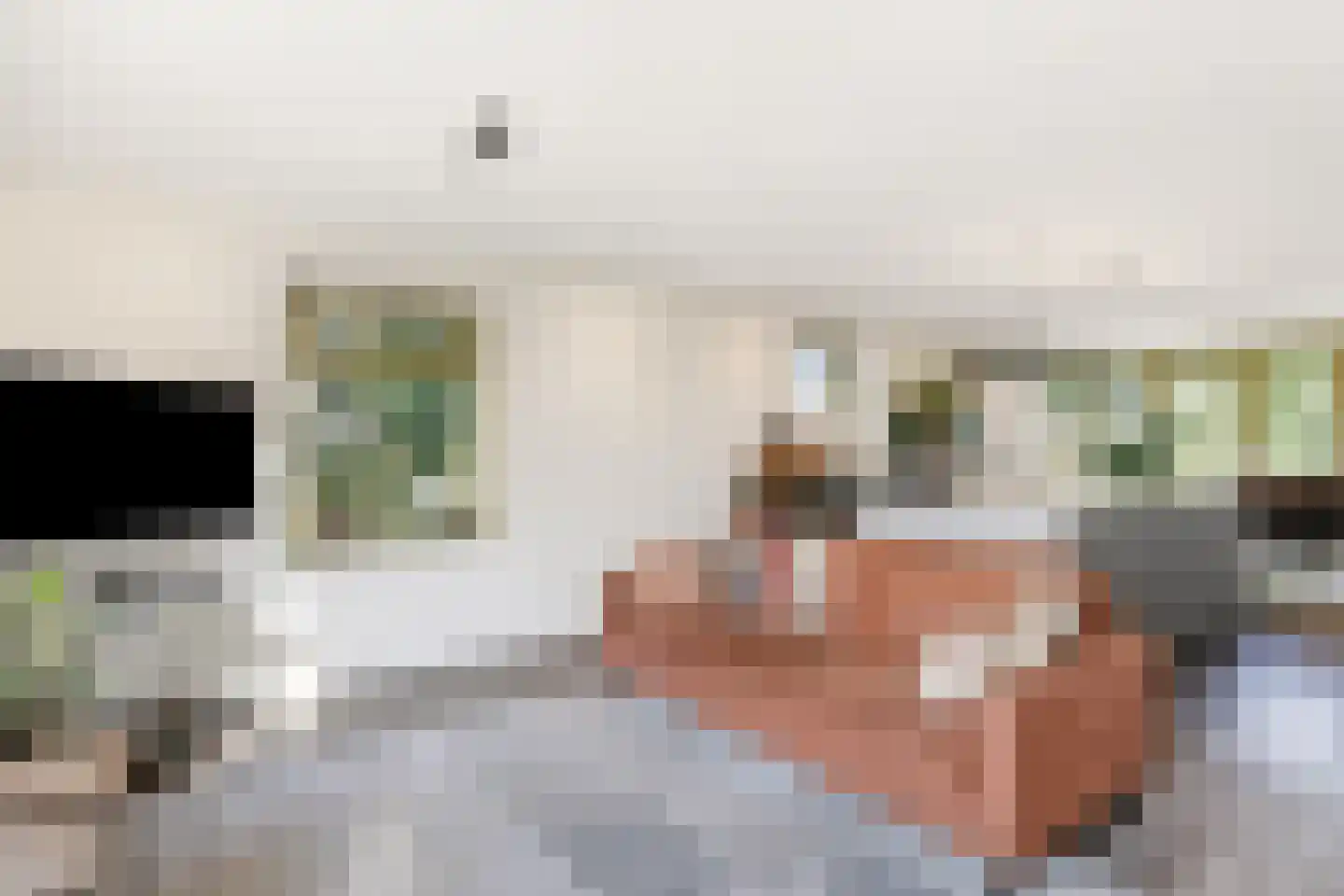 Hemmerweg 10 Barsingerhorn thumbnail 6