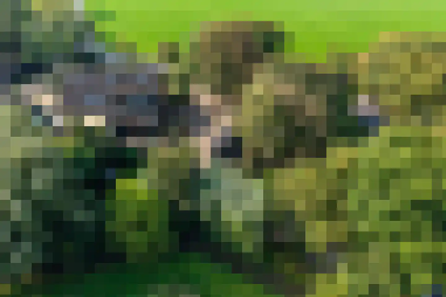 Hemmerweg 10 Barsingerhorn thumbnail 62