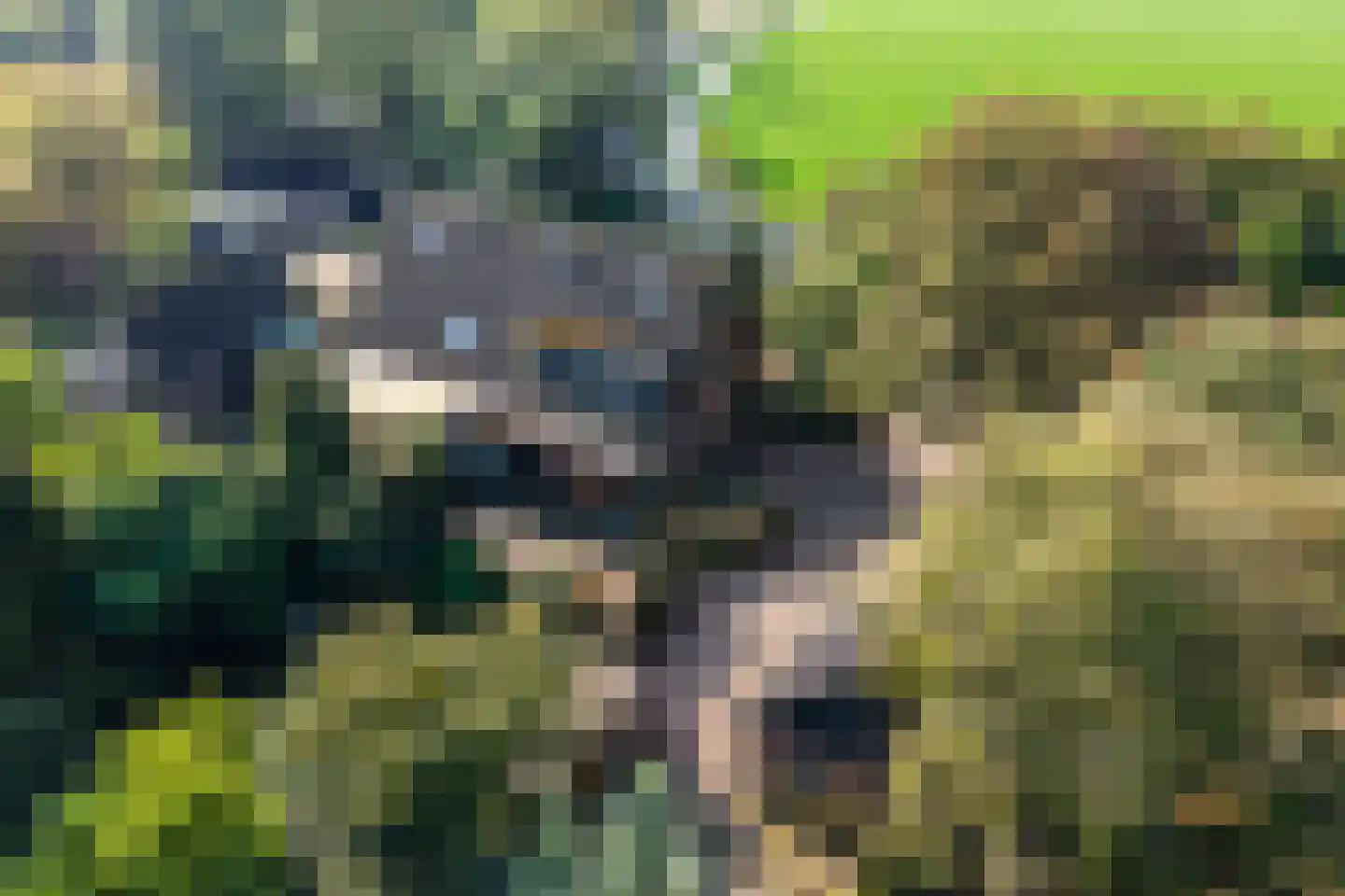 Hemmerweg 10 Barsingerhorn thumbnail 63