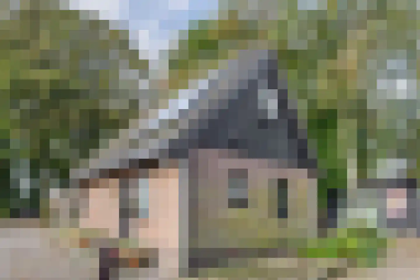 Hemmerweg 10 Barsingerhorn thumbnail 67