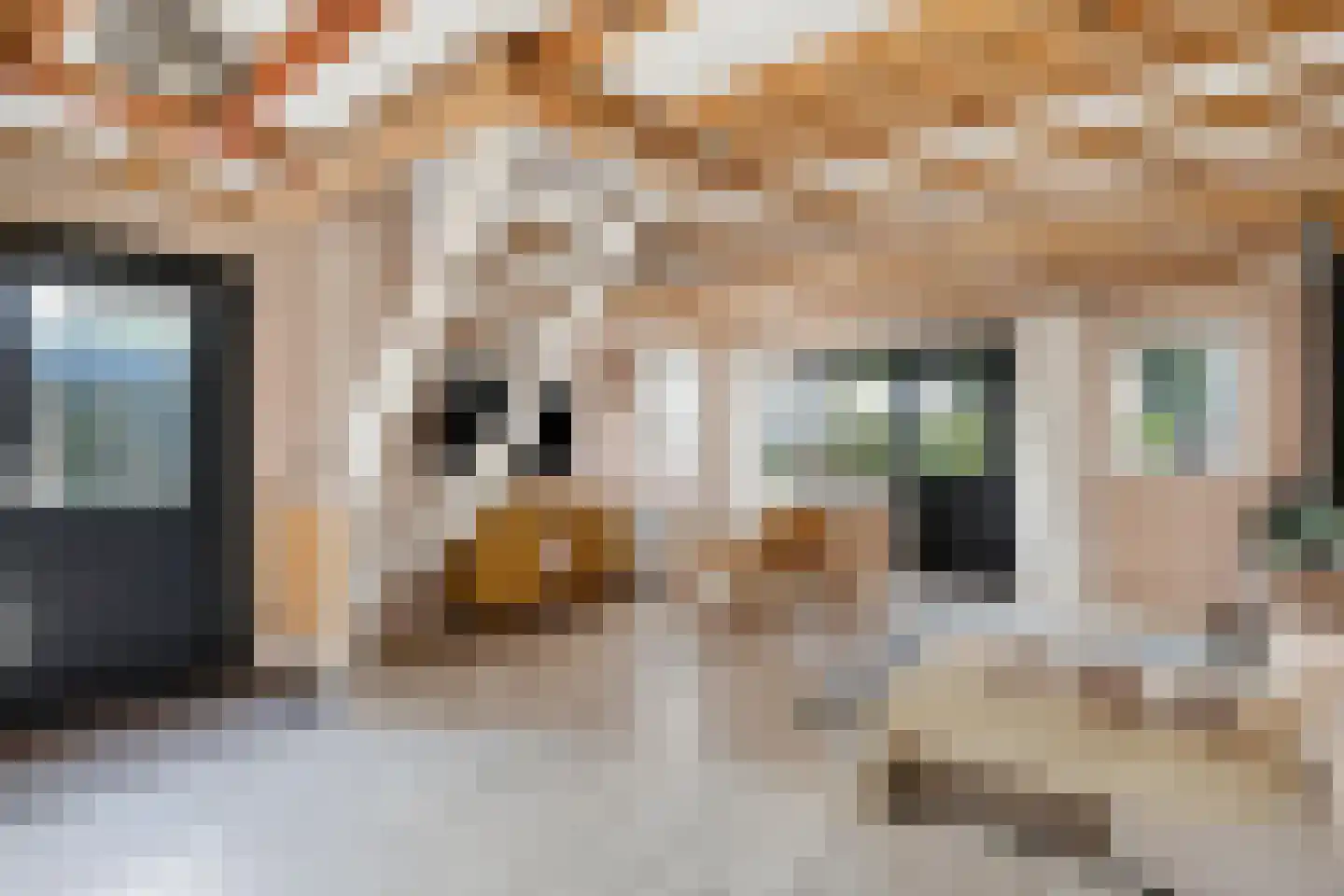 Hemmerweg 10 Barsingerhorn thumbnail 69