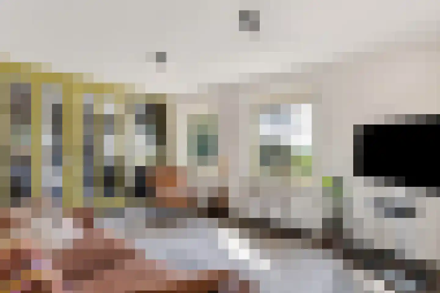 Hemmerweg 10 Barsingerhorn thumbnail 7