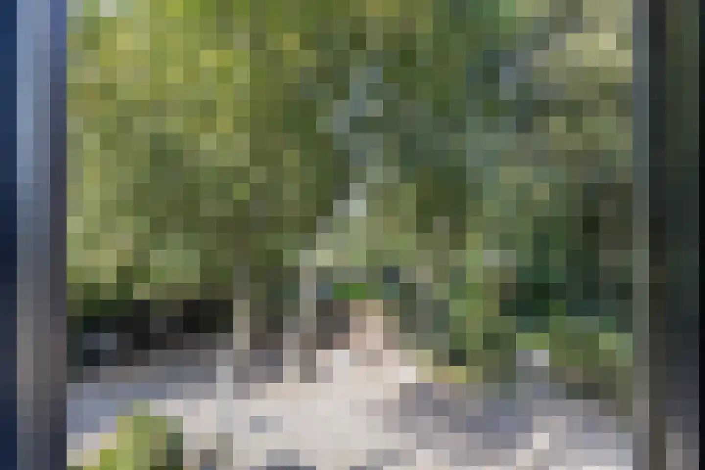 Hemmerweg 10 Barsingerhorn thumbnail 87