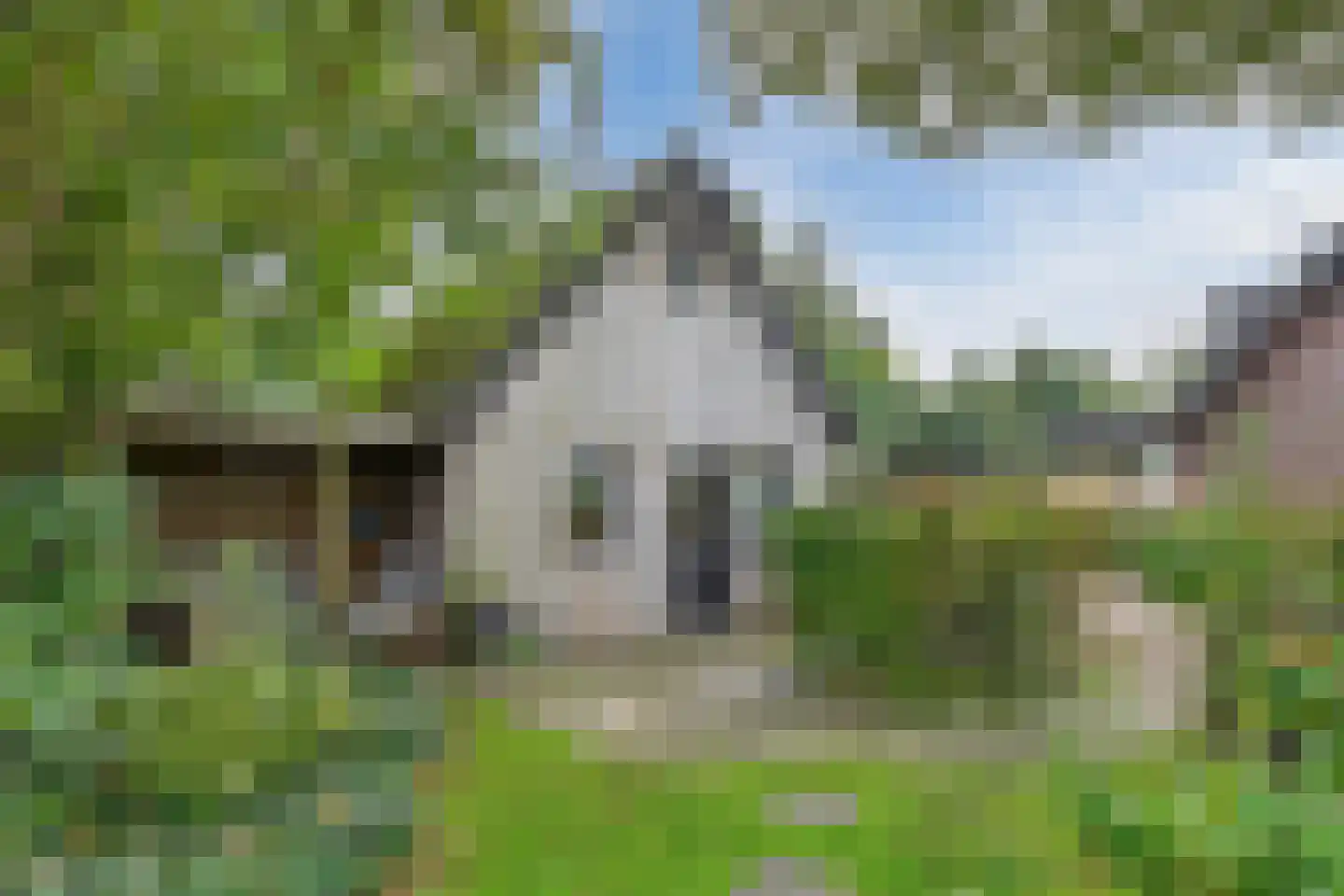 Hemmerweg 10 Barsingerhorn thumbnail 89