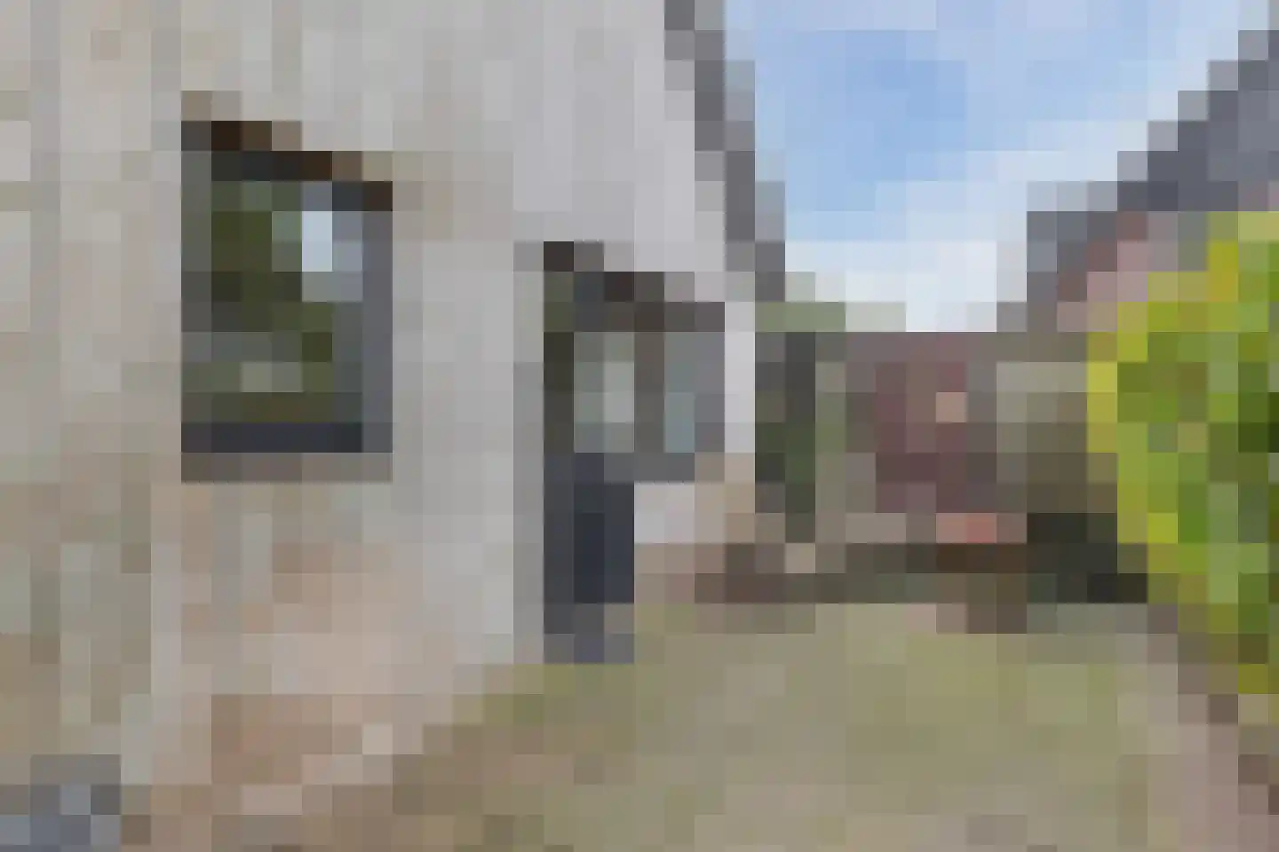 Hemmerweg 10 Barsingerhorn thumbnail 90