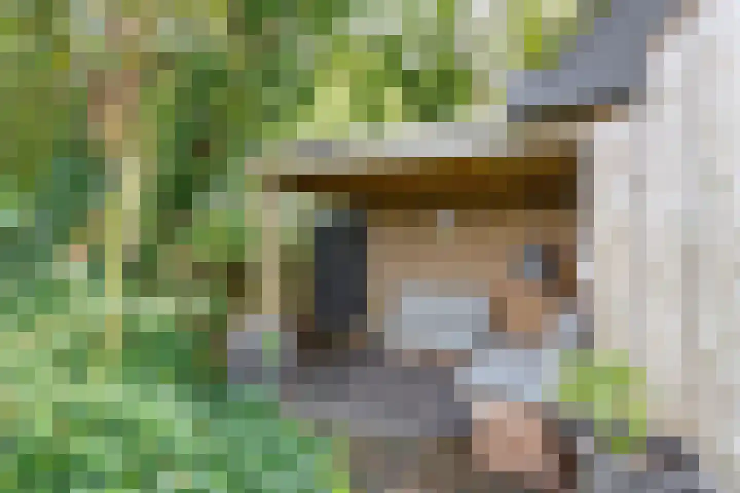 Hemmerweg 10 Barsingerhorn thumbnail 93