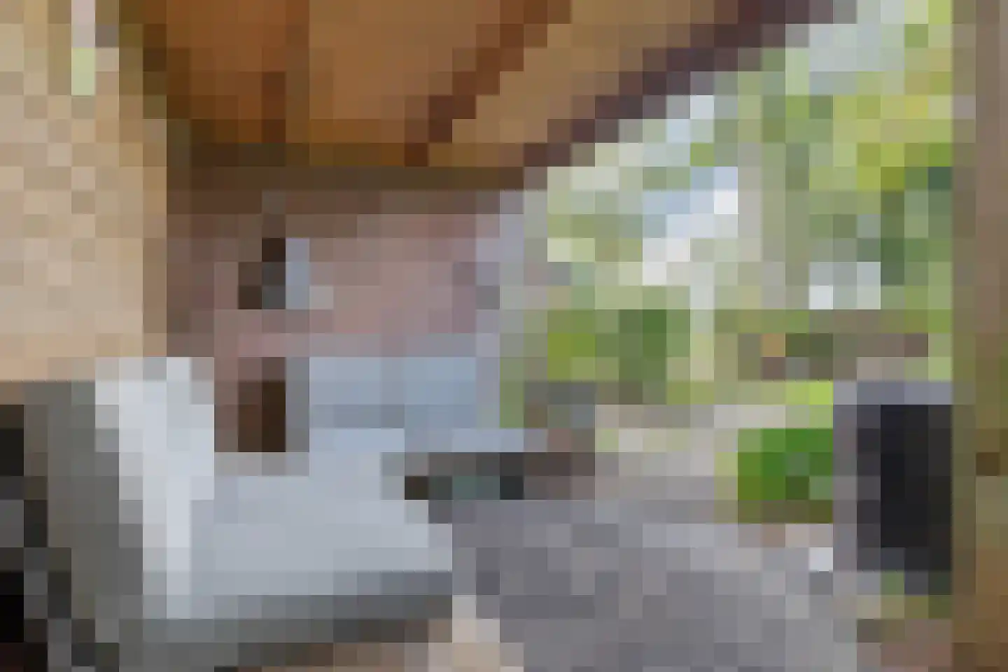 Hemmerweg 10 Barsingerhorn thumbnail 94
