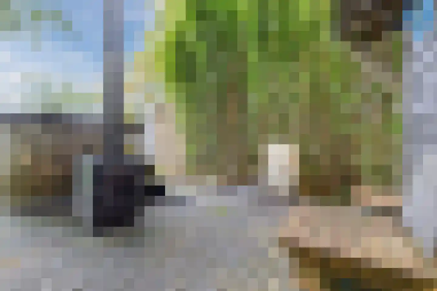 Hemmerweg 10 Barsingerhorn thumbnail 95