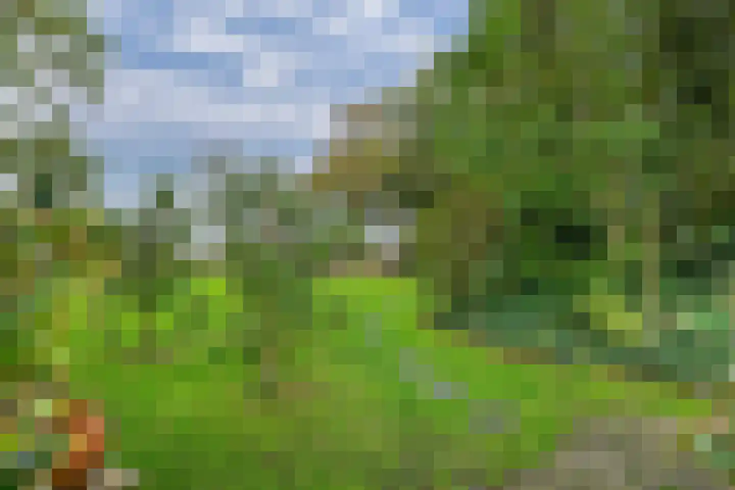 Hemmerweg 10 Barsingerhorn thumbnail 96