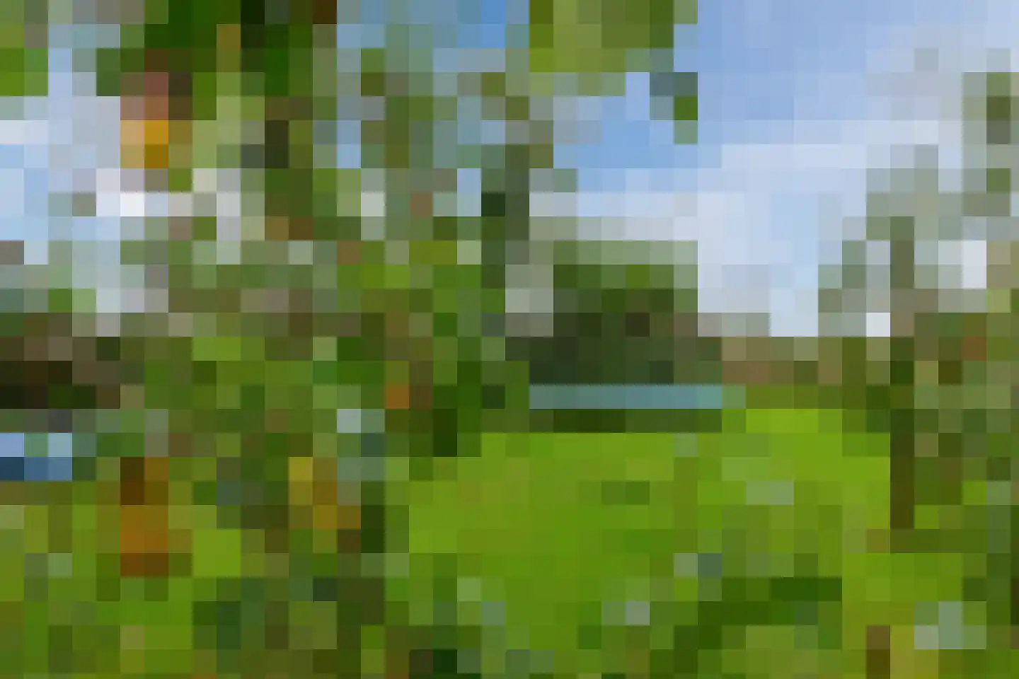 Hemmerweg 10 Barsingerhorn thumbnail 99