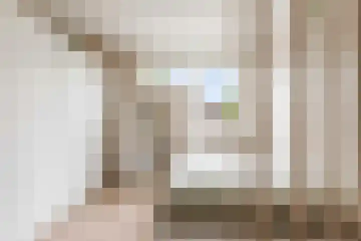 Hemminckmate 24 Zwolle thumbnail 16