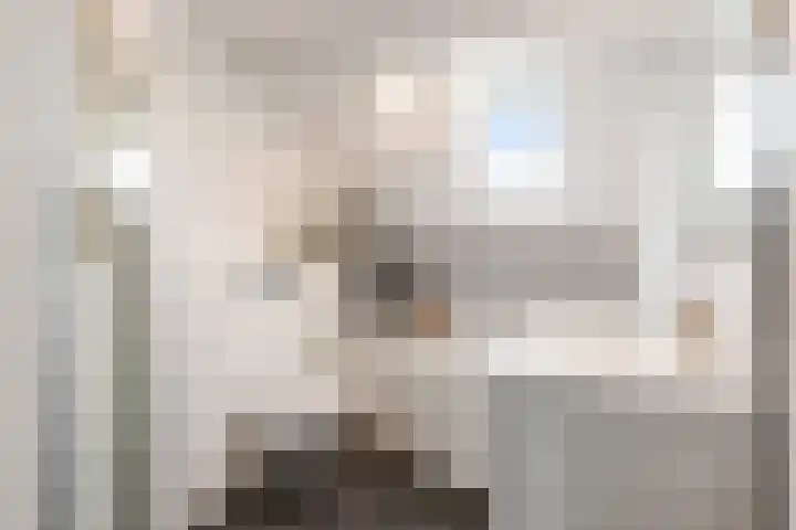 Hemminckmate 24 Zwolle thumbnail 20
