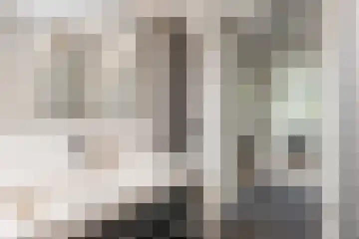 Hemminckmate 24 Zwolle thumbnail 22