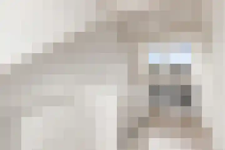 Hemminckmate 24 Zwolle thumbnail 23