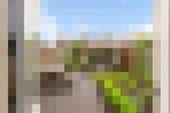 Hemminckmate 24 Zwolle thumbnail 27