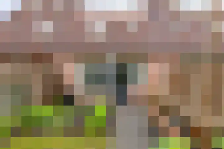 Hemminckmate 24 Zwolle thumbnail 28