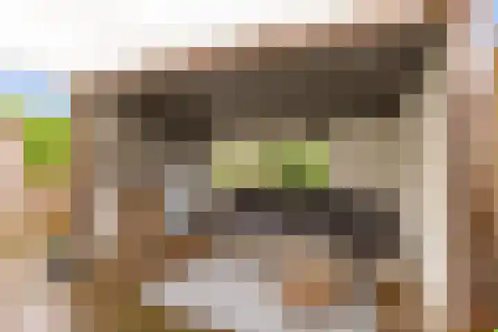 Hemminckmate 24 Zwolle thumbnail 30