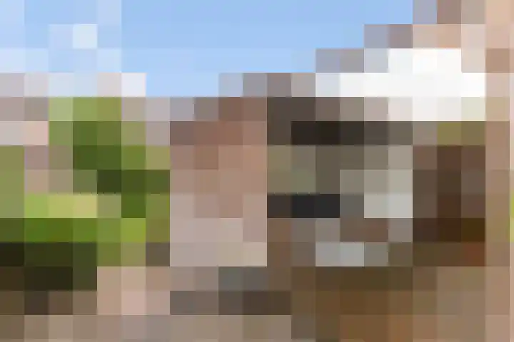 Hemminckmate 24 Zwolle thumbnail 31