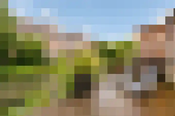 Hemminckmate 24 Zwolle thumbnail 32